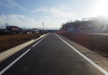 PIC0012V
